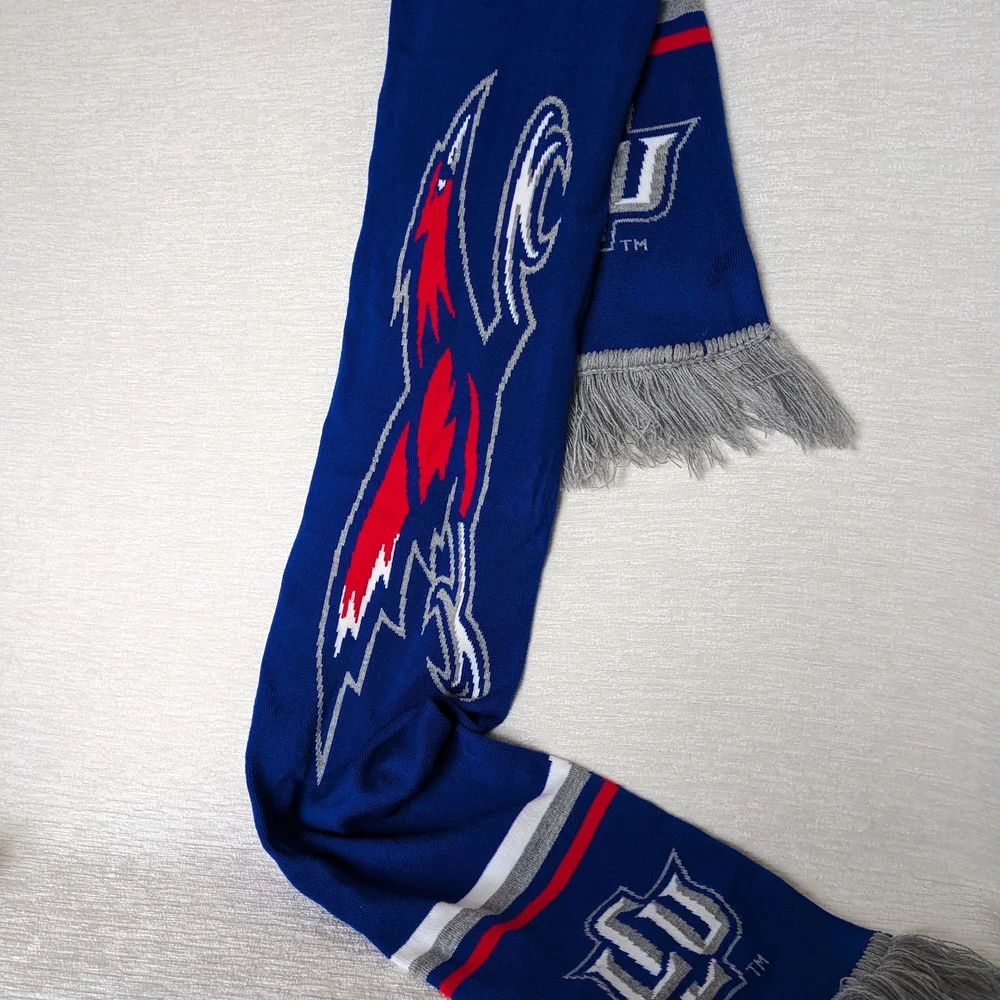 Winter Scarf 58